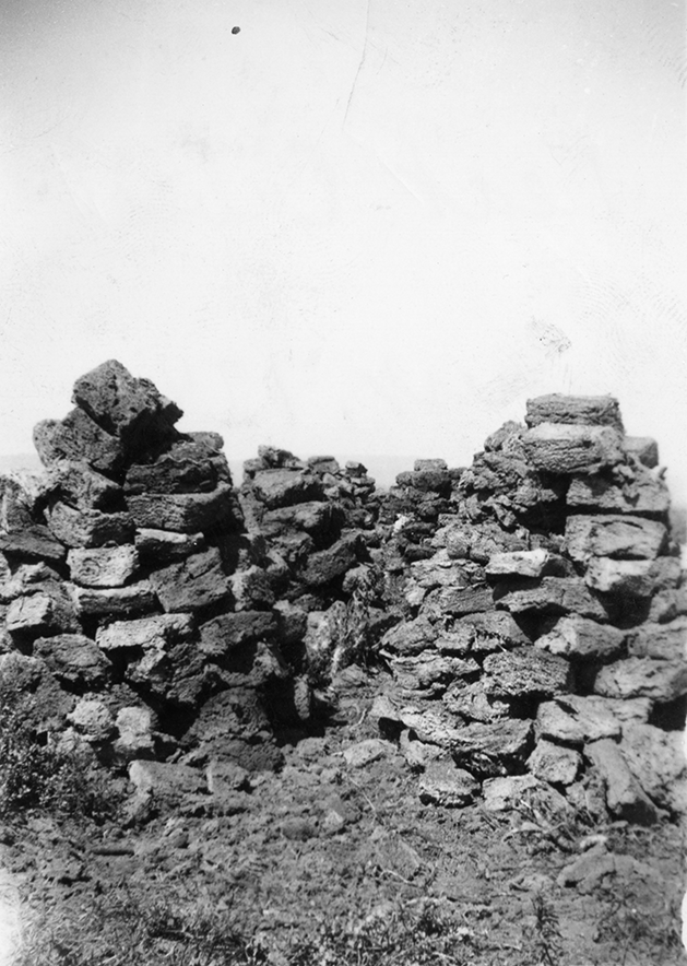 Peat Cubes, Western Peat